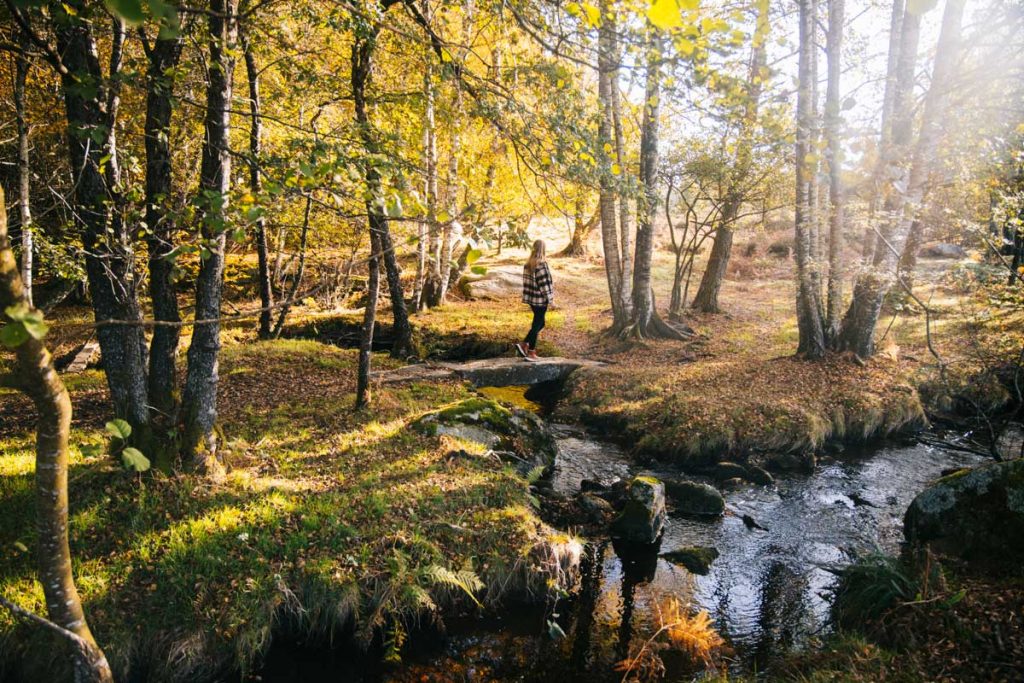 Balade de la lande du puy La Croix en Creuse. crédit photo : Clara Ferrand - blog Wildroad