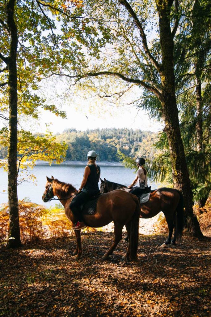 Balade sur la presqu'île de Chassagne avec les chevaux du lac de Vassivière. crédit photo : Clara Ferrand - blog Wildroad