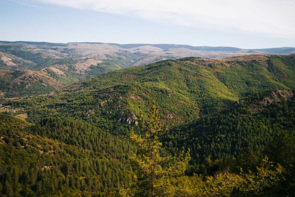 La forêt de mijavol avant d'arriver à l'étape de Florac sur le GR70. crédit photo : Clara Ferrand - blog Wildroad