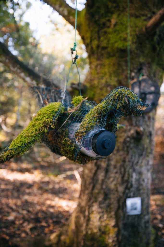 Chasse au trésor avec Terra Aventure dans la creuse. crédit photo : Clara Ferrand - blog Wildroad