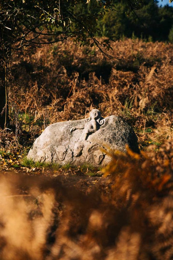 Histoire celtique lors de la balade de la Lande du puy La Croix. crédit photo : Clara Ferrand - blog Wildroad