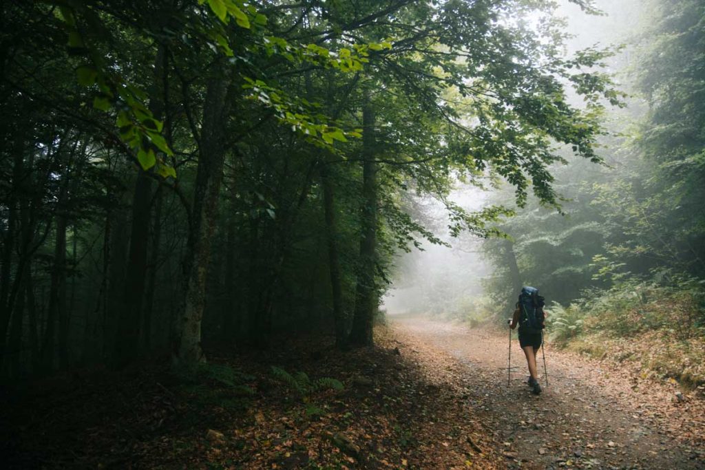 Le brouillard du Mont Lozère sur le GR70. crédit photo : Clara Ferrand - blog Wildroad