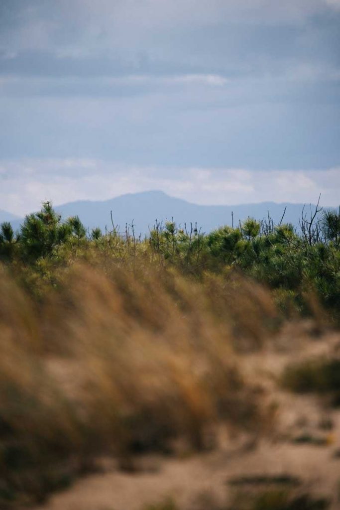 Préservation et sensibilisation autour des dunes de Labenne dans les Landes. crédit photo : Clara Ferrand - blog Wildroad