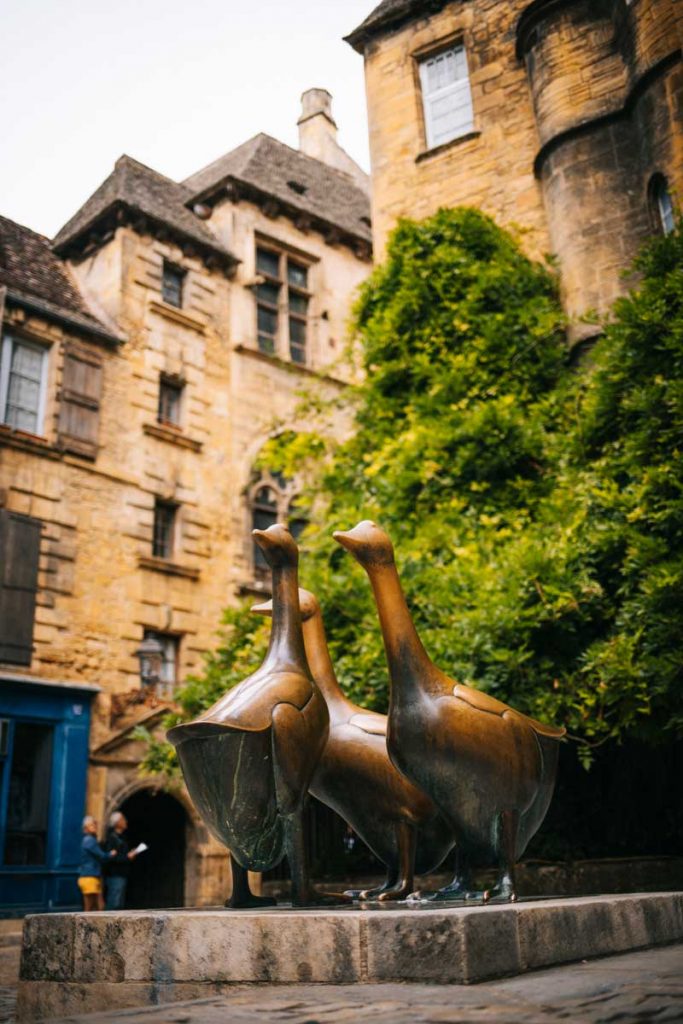 Marché au canard du Sud-ouest sur la place de Sarlat. crédit photo : Clara Ferrand - blog Wildroad