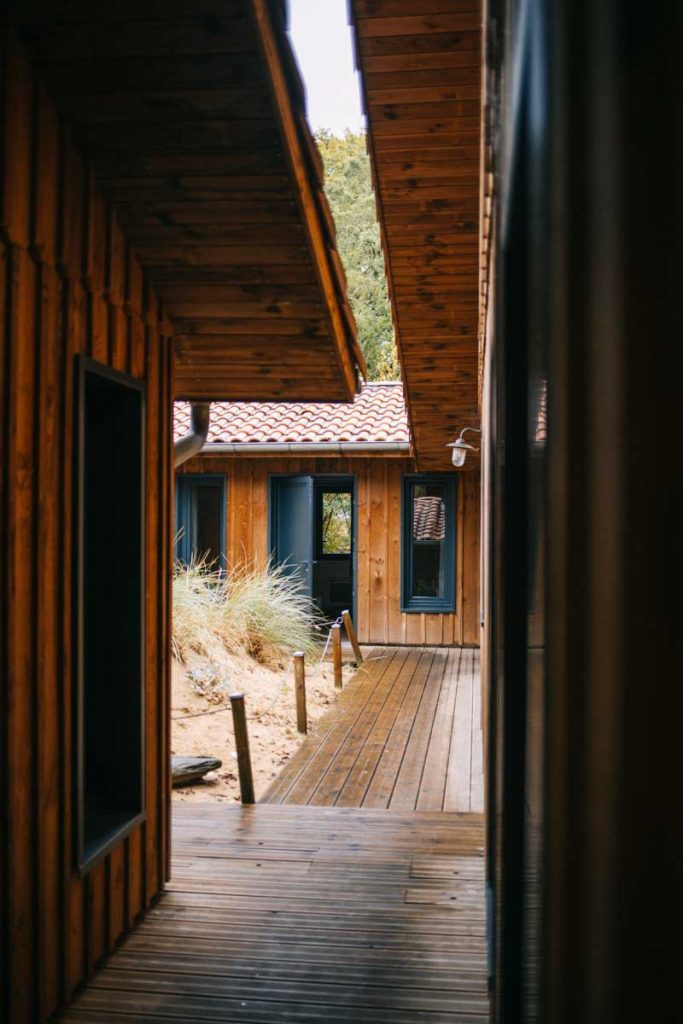 Une semaine au nature surf camp de Messanges sur la côte landaise. crédit photo : Clara Ferrand - blog Wildroad