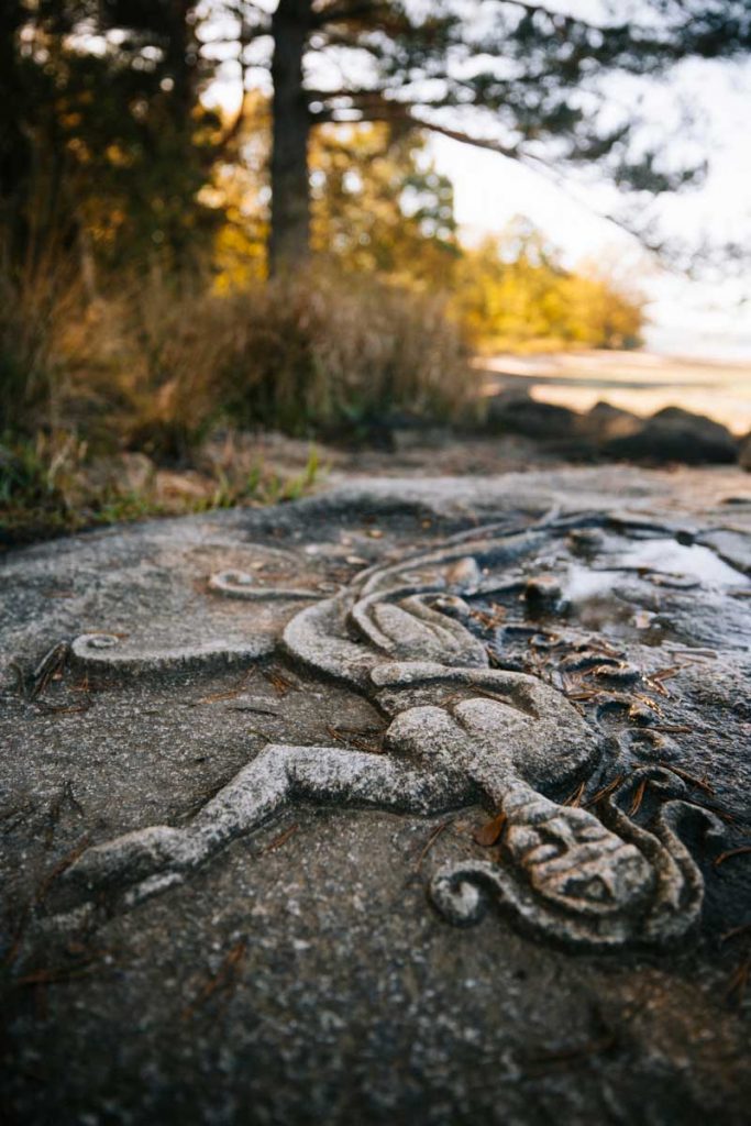 Balade familiale autour du lac de Vassivière sur la lande du puy La Croix. crédit photo : Clara Ferrand - blog Wildroad