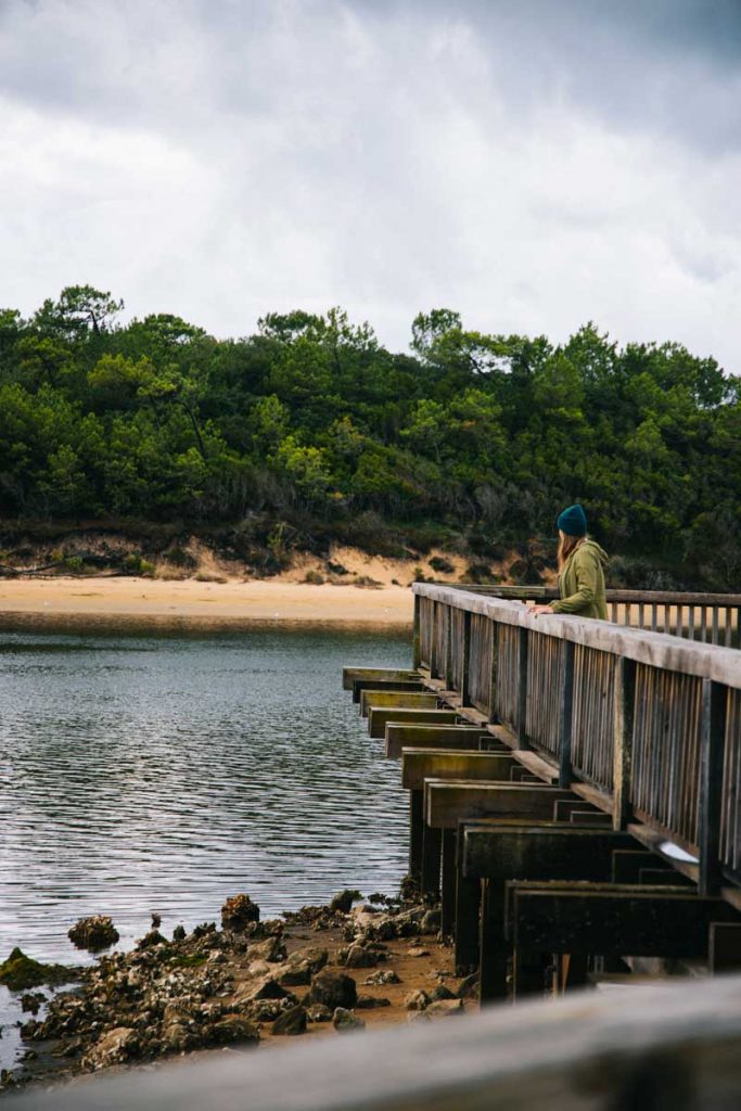 Découvrir Vieux boucau et Port Albert. crédit photo : Clara Ferrand - blog Wildroad