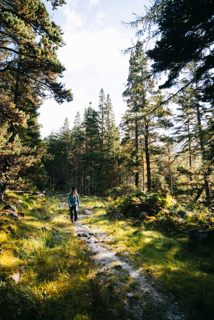 Organiser un séjour randonnée en Irlande. crédit photo : Clara Ferrand - blog Wildroad