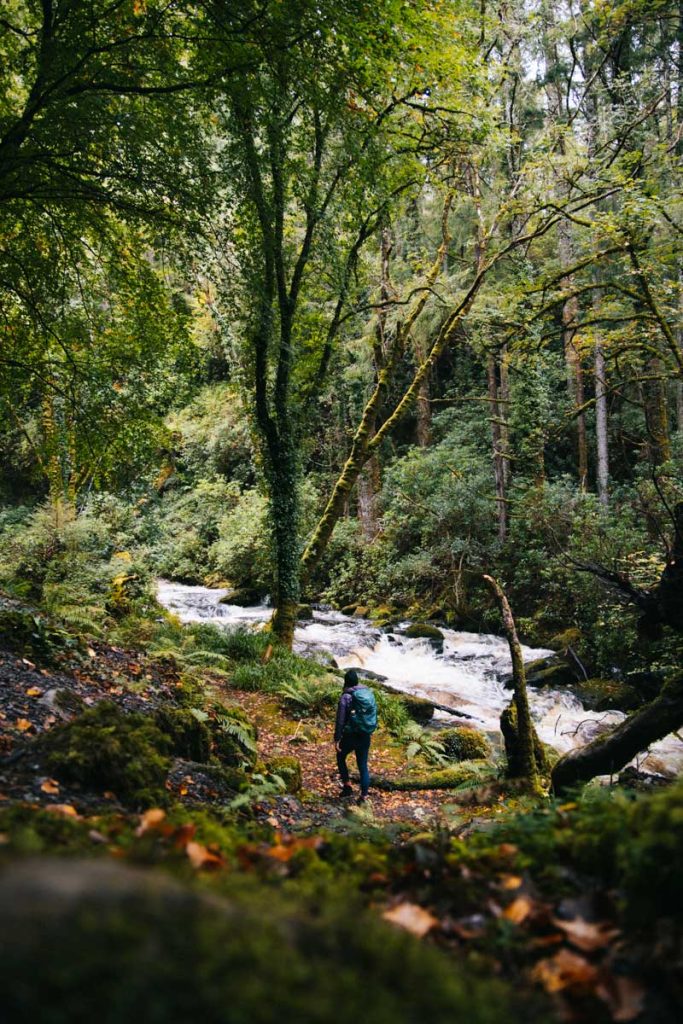 Les sentiers baliser du parc national de Killarney : la cascade de Torc. crédit photo : Clara Ferrand - blog Wildroad