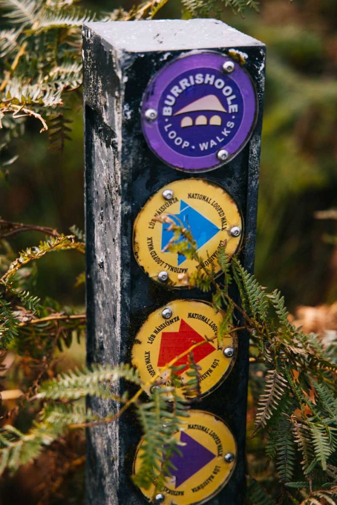Les différents trail dans le parc national de Wild Nephin dans le comté de Mayo. crédit photo : Clara Ferran d- blog Wildroad