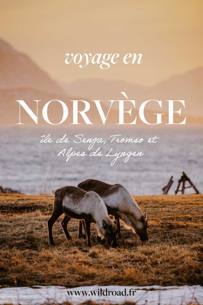 Voyager en Norvège au nord pendant l'hiver : itinéraire, ski de rando, aurore boréale. crédit photo : Clara Ferrand - blog Wildroad #iledesenja #alpeslyngen #norvege #tromso