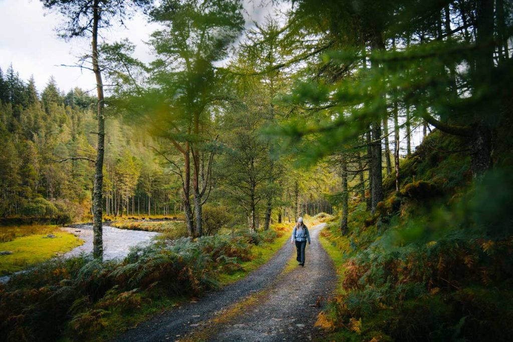 Wild Nephin national Park sur The Western Way. crédit photo : Clara Ferrand - blog Wildroad