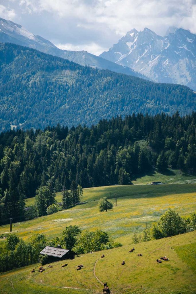 Les alpages où on produit la tomme de Savoie dans le massif du Bargy. crédit photo : Clara Ferrand- blog Wildroad