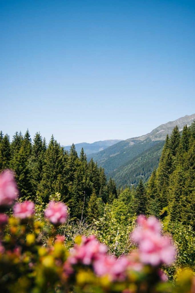 Panorama sur la vallée du Haut-Bréda. crédit photo : clara Ferrand - blog Wildroad