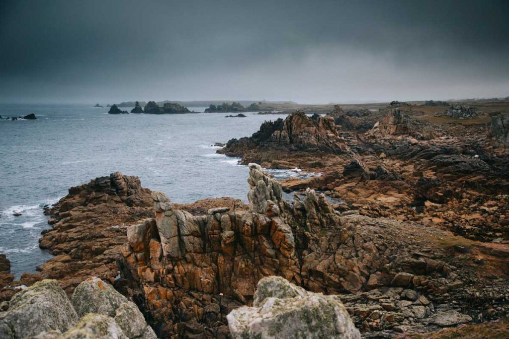 Observation ornithologique sur l'île d'Ouessant avec le CEMO.  crédit photo : clara Ferrand - blog Wildroade