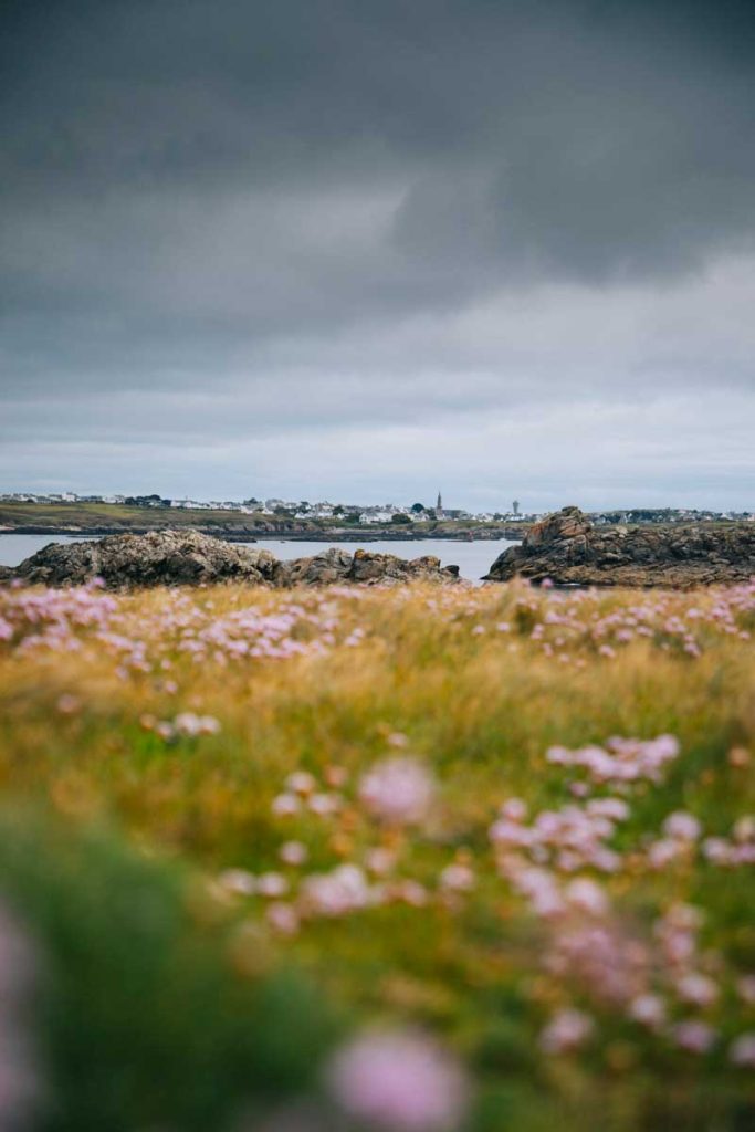 Espace protégé sur l'île d'Ouessant la pointe de Porz Doun. crédit phtoo : Clara Ferrand - blog Wildroad