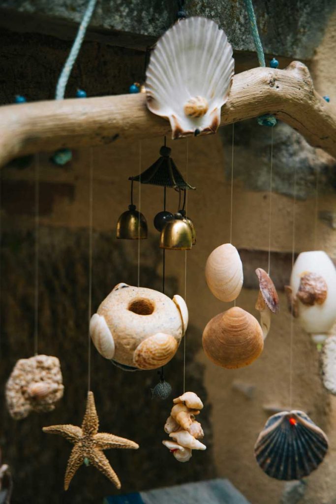 Les coquilles sur le chemin de Saint-Jacques de Compostelle à Pastourat. crédit photo : Clara FERRAND - blog Wildroad