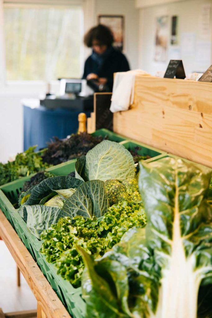 Produit de la ferme aquaponique du pays de Gex disponible à la boutique. crédit photo : Clara Ferrand - blog Wildroad