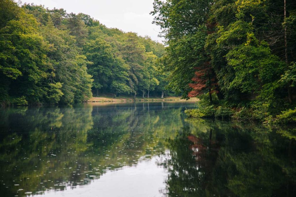 Découvrir le PNR Périgord Limousin entre la Dordogne et la Haute-Vienne. crédit photo : Clara FERRAND - blog Wildroad