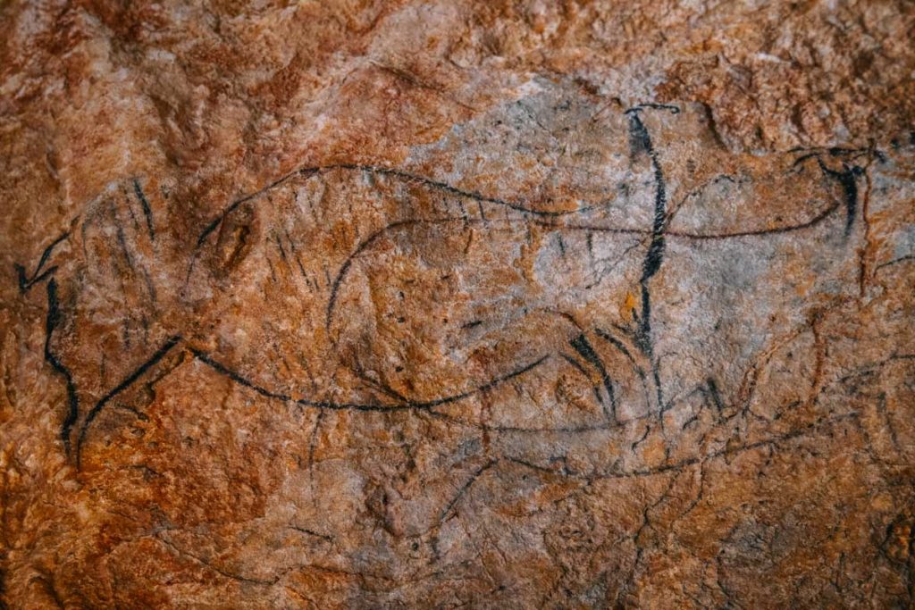 Les peinture préhistorique à voir dans la grotte du Pech Merle dans la vallée du Célé. crédit photo : Clara FERRAND - blog Wildroad