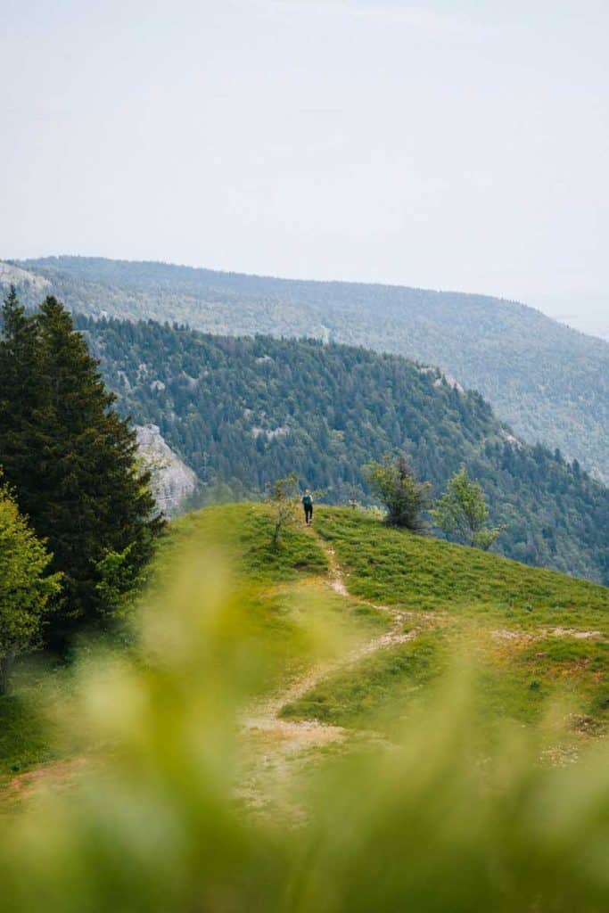 Une randonnée facile depuis le col de la Famille dans le massif du Jura. crédit photo : Clara FERRAND - Blog Wildroad