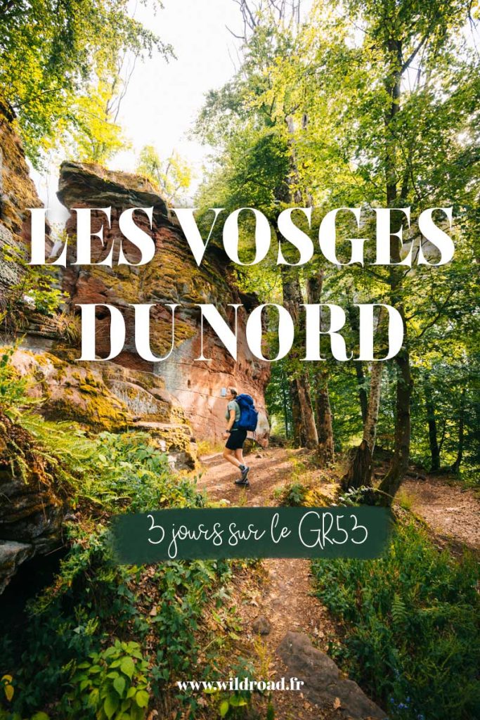 Les vosges du Nord : 3 jours de randonnée itinérante sur le GR53 de Wissembourg à Saverne. Découvrez les ruines de magnifiques chateaux en grès rose. crédi tphoto : Clara Ferrand - blog Wildroad #grandest #massifdesvosges #GR53