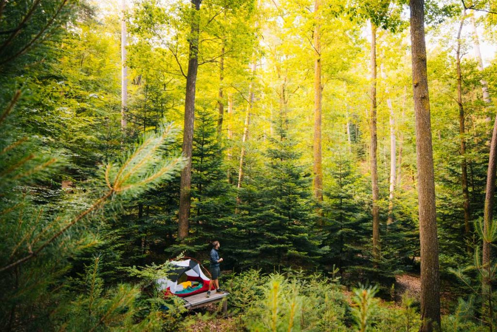 L'aire de bivouac de Climbach dans le massif des Vosges. crédit photo : Clara Ferrand - blog Wildroad