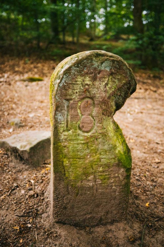 Les bornes cadastrales du moyen âge dans les Vosges du Nord. crédit photo : Clara Ferrand - blog Wildroad