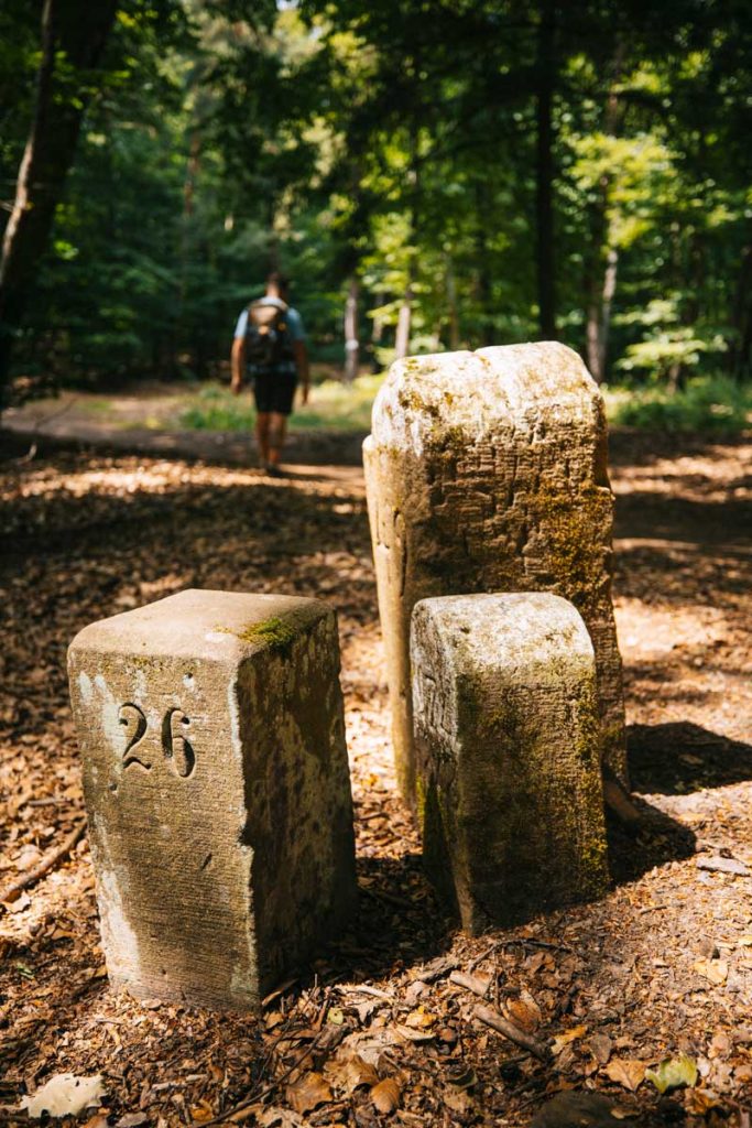 3 bornes cadastrales sur le trek du GR53 dans les Vosges du nord. crédit photo : Clara Ferrand - blog Wildroad