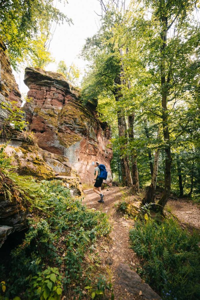 Les ruines du chateau de wittschloessel. crédit photo : Clara Ferrand - blog Wildroad