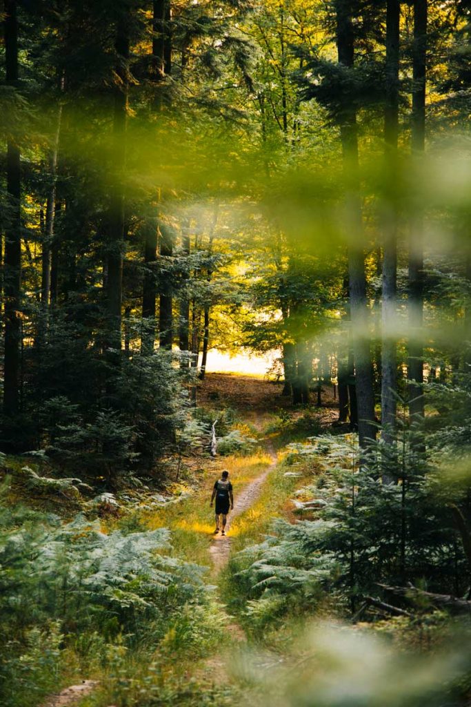 Départ du GR53 dans le Parc Naturel du massif des vosges du nord. crédit photo : Clara Ferrand - blog Wildroad