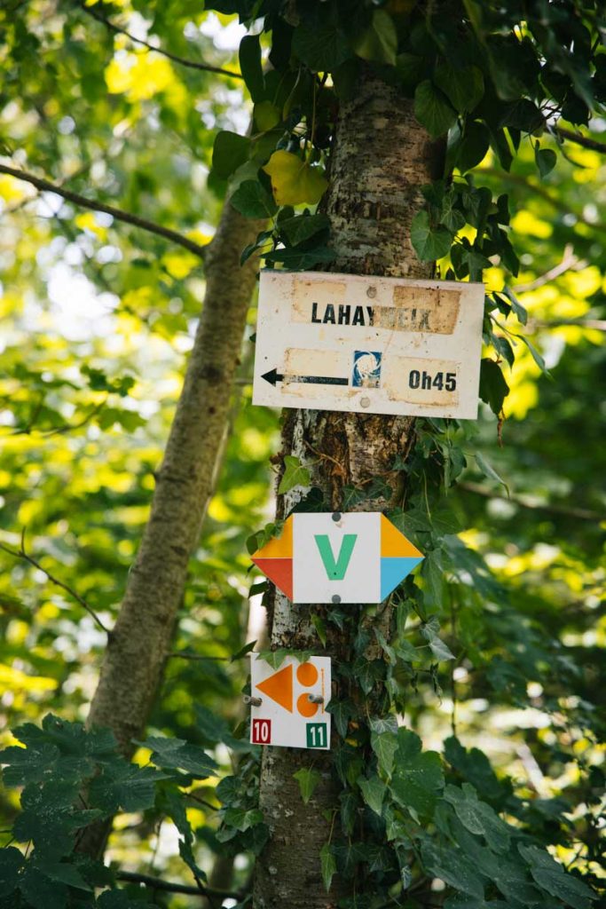Les itinéraire de sentier de randonnée balisé par le vent des forêts. crédit photo : Clara Ferrand - blog Wildroad