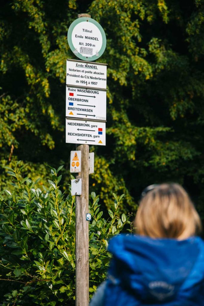 Jour 3 sur le trek itinérant du GR53 dans les Vosges du Nord. crédit photo : Clara Ferrand - blog Wildroad