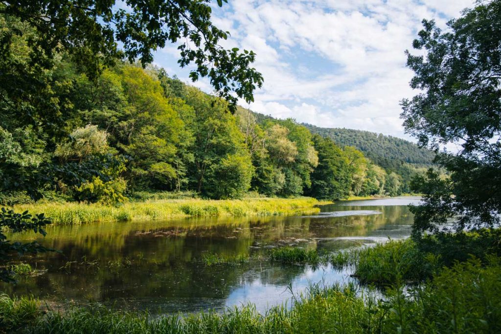 Le plan d'eau du fleckenstein dans les vosges nord. crédit photo : Clara Ferrand - blog Wildroad