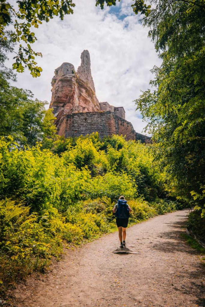 Le trek du gr5 au nord massif des vosges : visite du chateau de Fleckenstein. crédit photo : Clara Ferrand - blog Wildroad