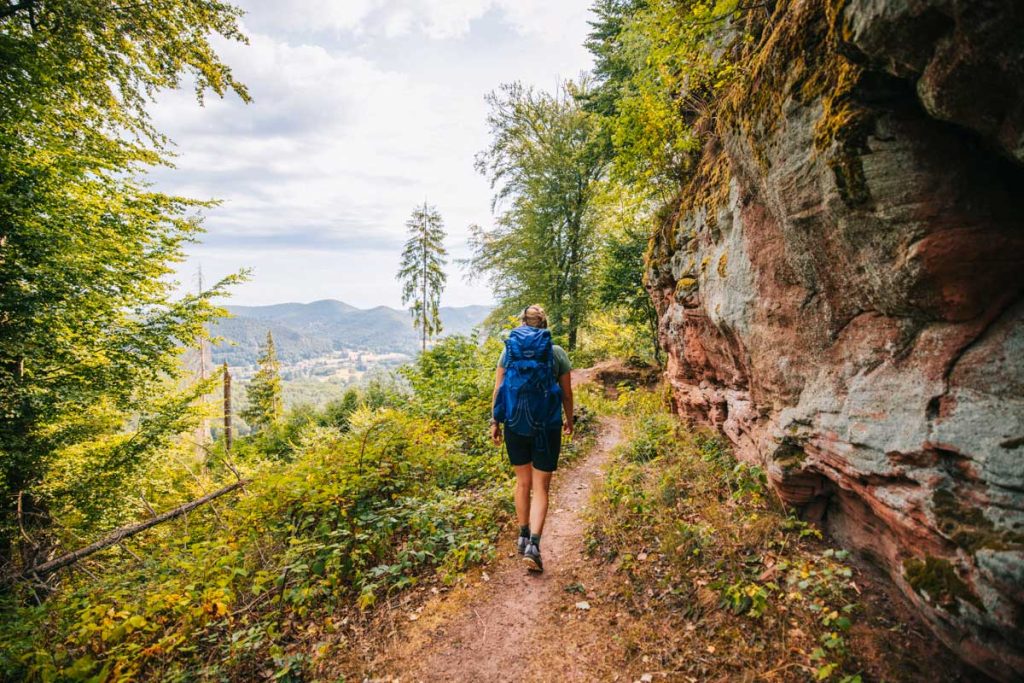 Les vallons de Stenbach et de Schwartzbach dans les Vosges du nord. crédit photo : Clara Ferrand - blog Wildroad