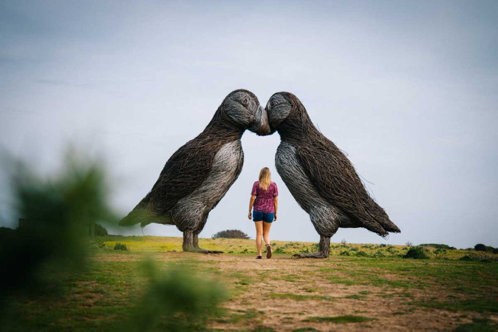 La sculpture giant puffin par le National trust of Jersey. crédit photo : Clara Ferrand - blog Wildroad
