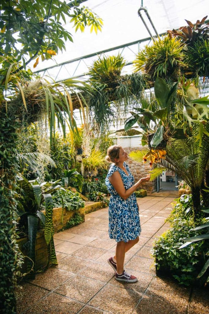 Visiter la orchid fondation Éric Young grâce au héritage Pass. crédit photo : Clara Ferrand - blog Wildroad