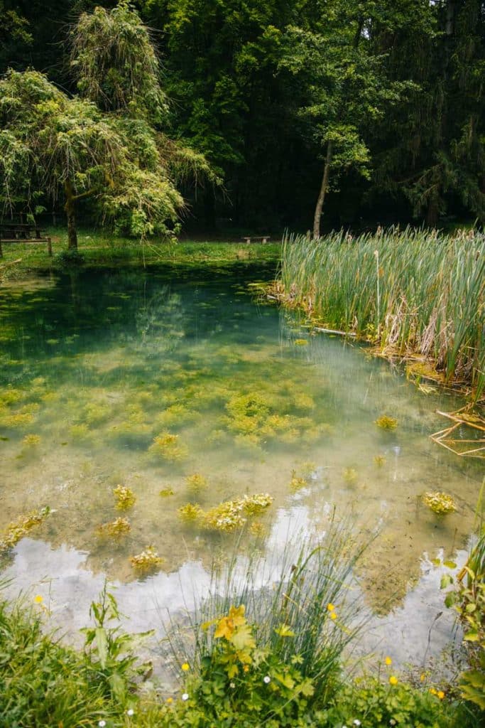 Le bassin du site naturel de Montaigu. crédit photo : Clara Ferrand - blog Wildroad