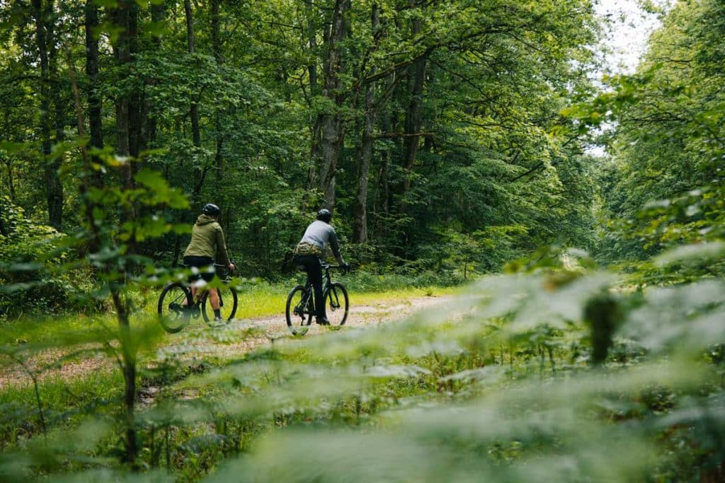Les forêts du Pays d'Othe sur l'itineraire gravel. crédit photo : Clara Ferrand - blog Wildroad