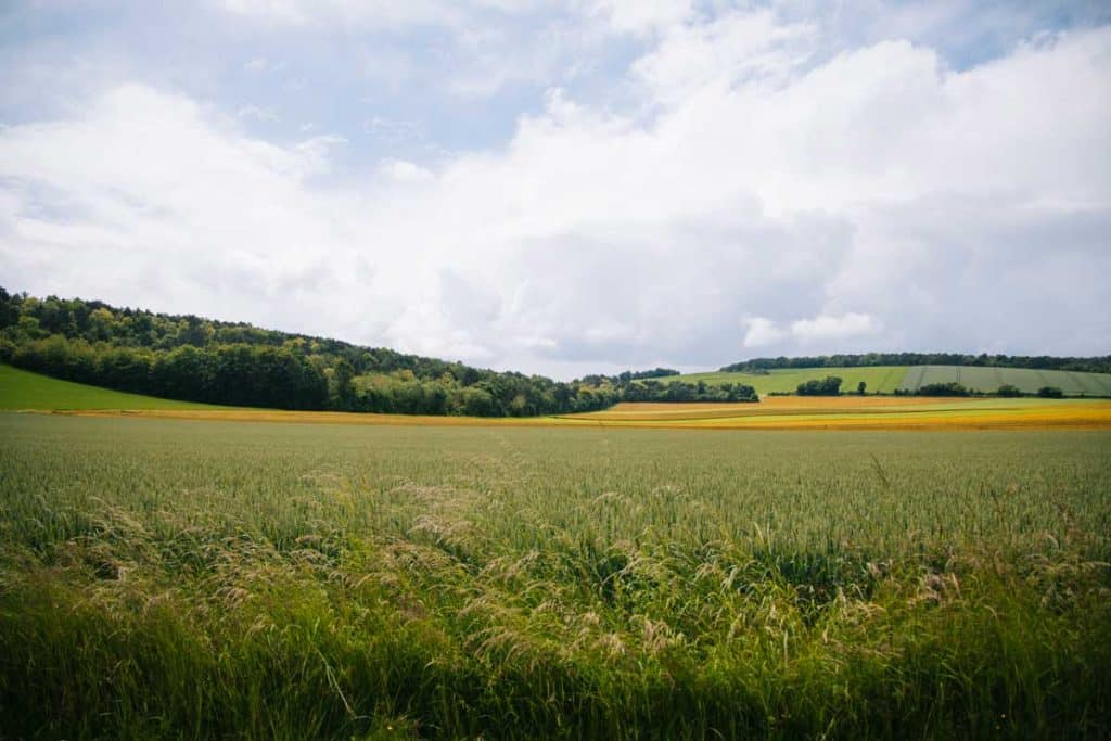 Les paysages de la campagne troyennes. crédit photo : Clara Ferrand - blog Wildroad