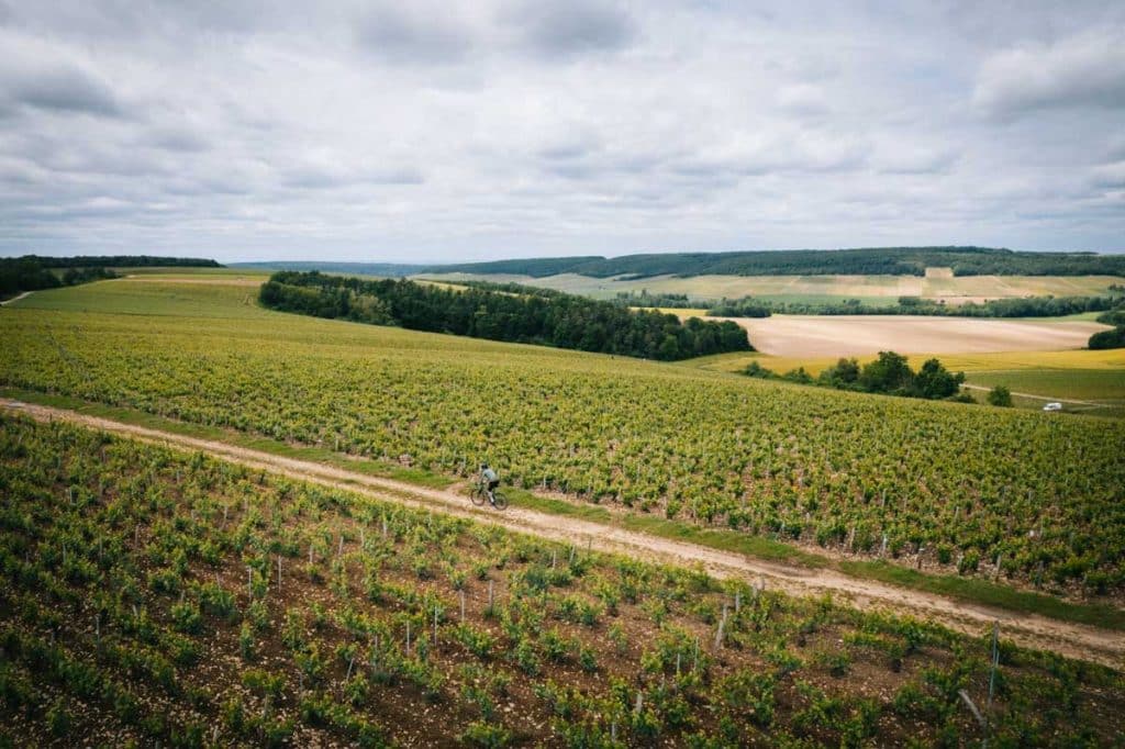 Les vignes de la côte des Bar, une étape du Raid Bulles