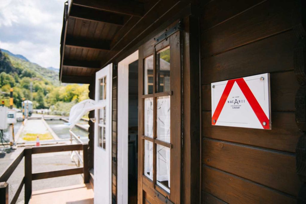 La ferme de Nicarii élevage d'esturgeon en catalogne pour la production de caviar. Crédit Photo : Clara Ferrand - Blog Wildroad