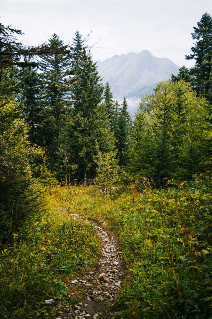 Le sentier dans le vallon road au retour de la randonnée de la crête d'âne. credit photo : Clara Ferrand - blog wildroad