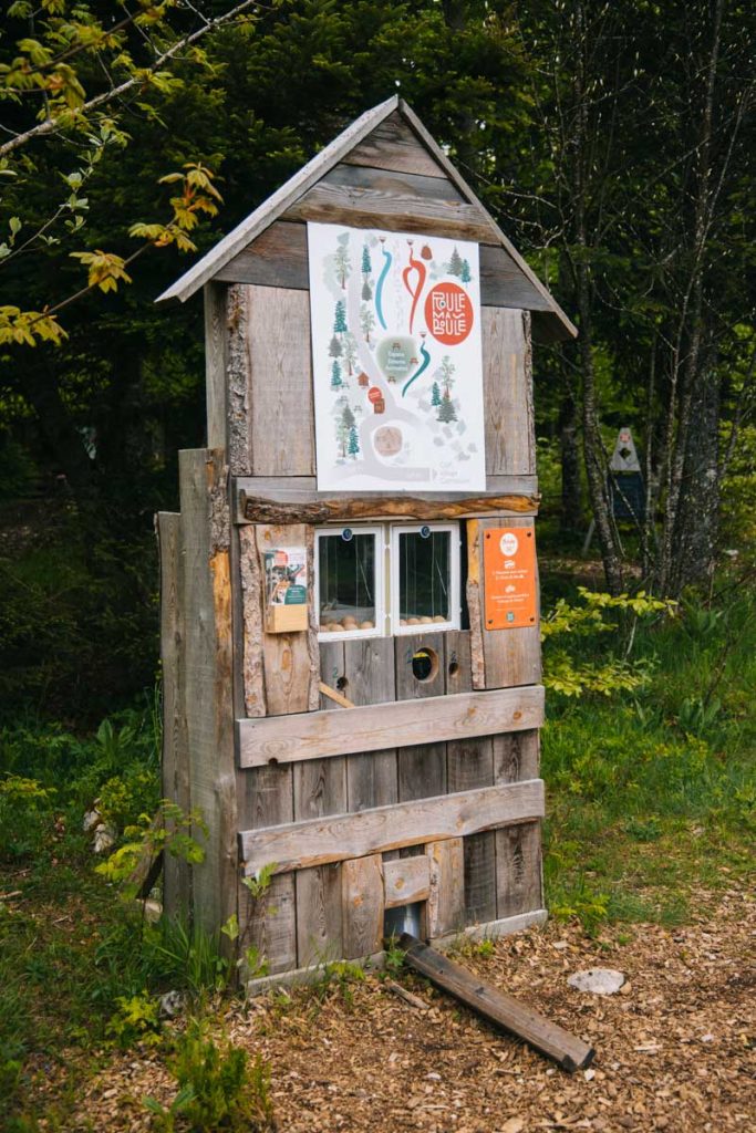 Un jeux installé par l'auberge du Clariant en pleine nature. crédit photo : Clara Ferrand - blog Wildroad