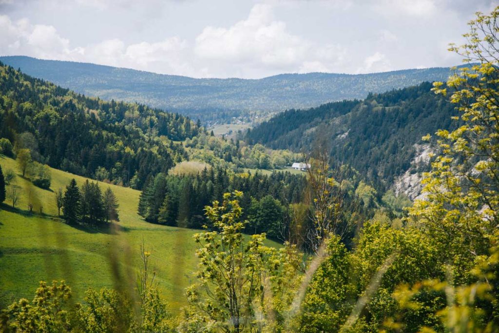 Panorama sur les forets du vercors depuis la Via Vercors
