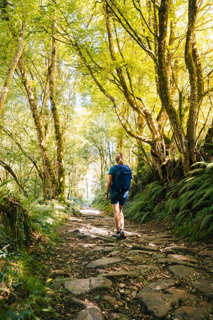 Un chemin pavé à la sortie de la forêt de grande Charnie. Crédit photo : Clara Ferrand - blog Wildroad