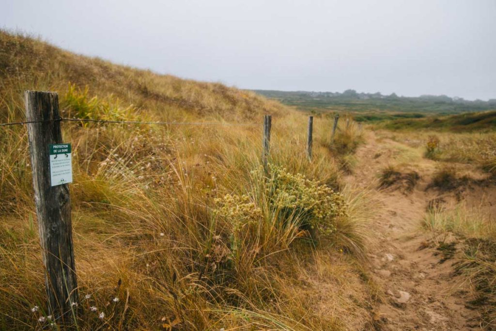 Les dunes de la palue protégées par le conservatoire du littoral. crédit photo : Clara Ferrand - blog Wildroad