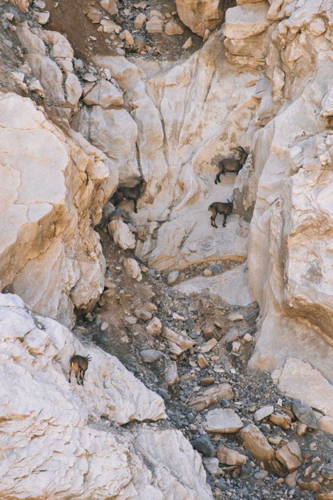 les étagnes au glacier de Gébroulaz. Crédit photo : Clara Ferrand - blog Wildroad