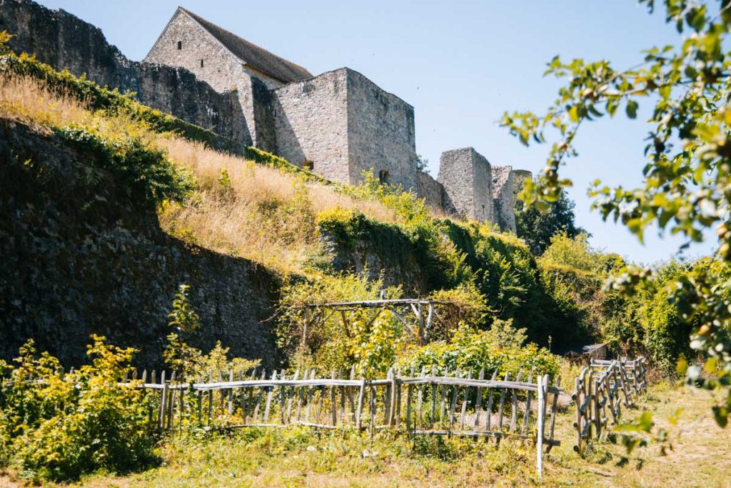 Le jardin médiéval lors d'une visite de la cité de Sainte-Suzanne. Crédit photo : Clara Ferrand - blog Wildroad